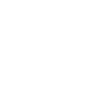 Team Team